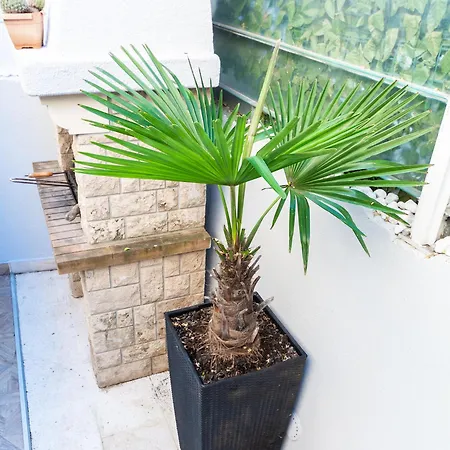 Apartment Principessa Split